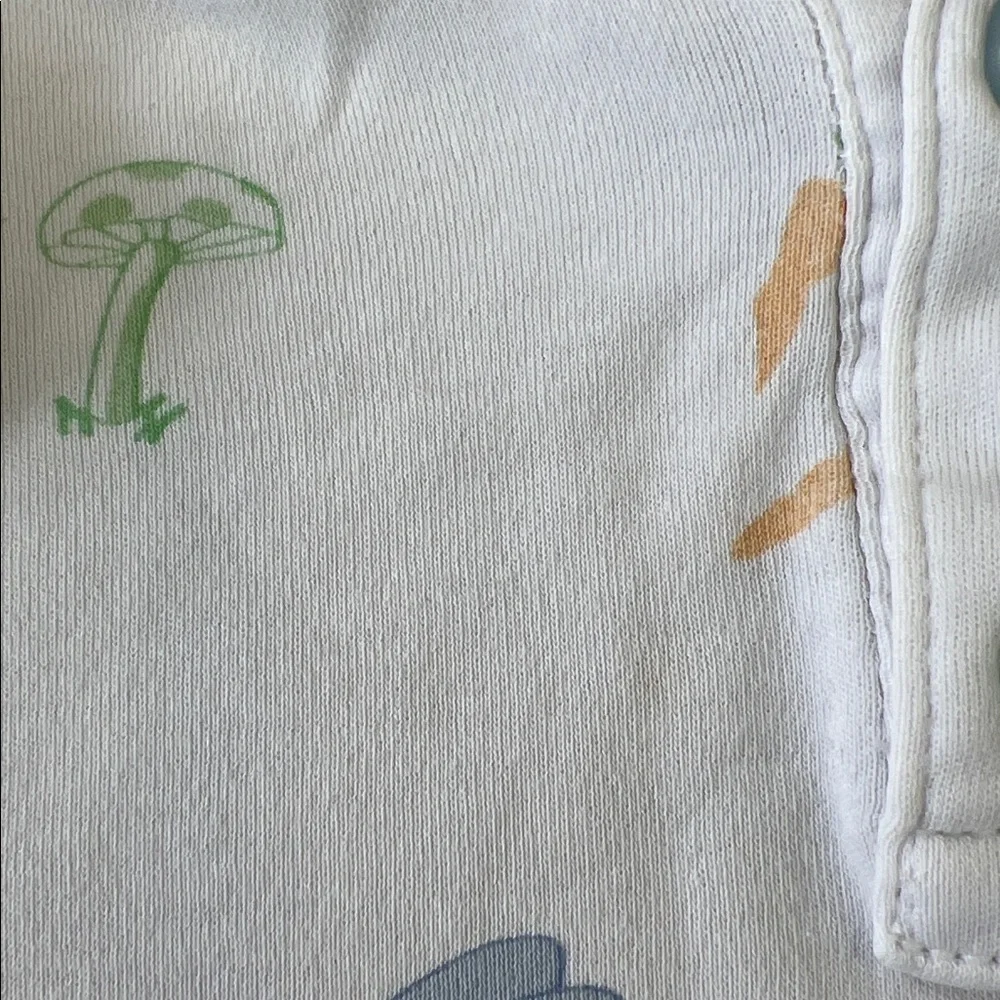 Little English Easter spring animal pajama set kids 6 bunny ducks long sleeve